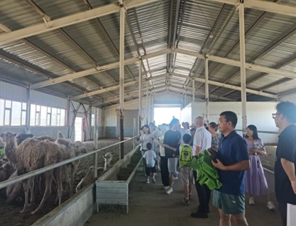 1724310270459398.png image.png