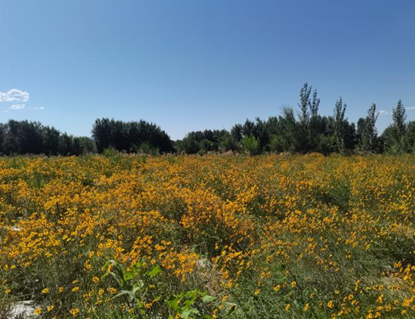 1724310278995460.png image.png